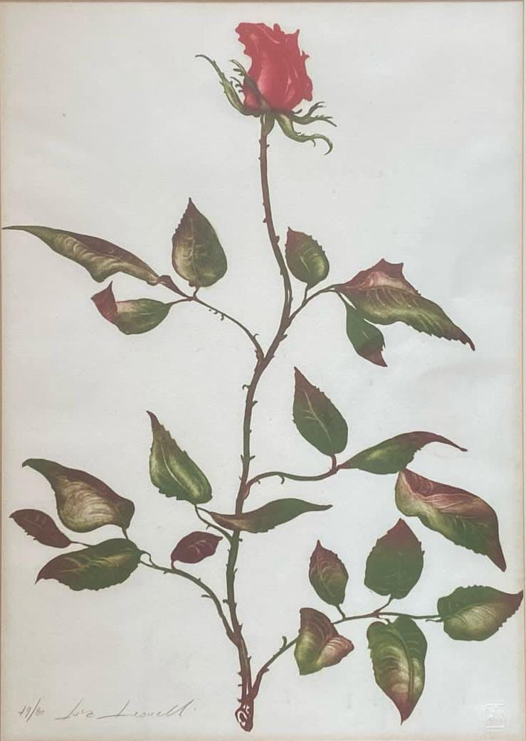 Rosa Leoncelli Livia